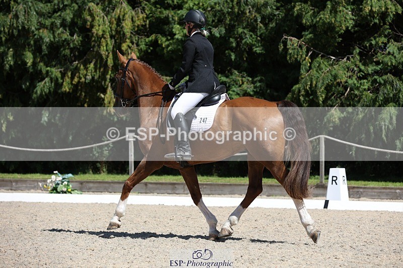 230811-142402-02013 - Cls 1 Prelim Bronze 13.30 to 14.50 break