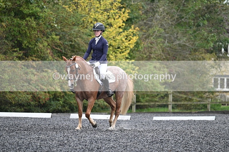 WJ7_3723 - Time 11:04 to 11:38