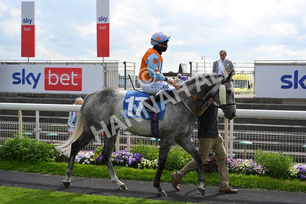 yr11062021r6-6 - Race 6 4.35pm Irish Thoroughbred Marketing Stakes