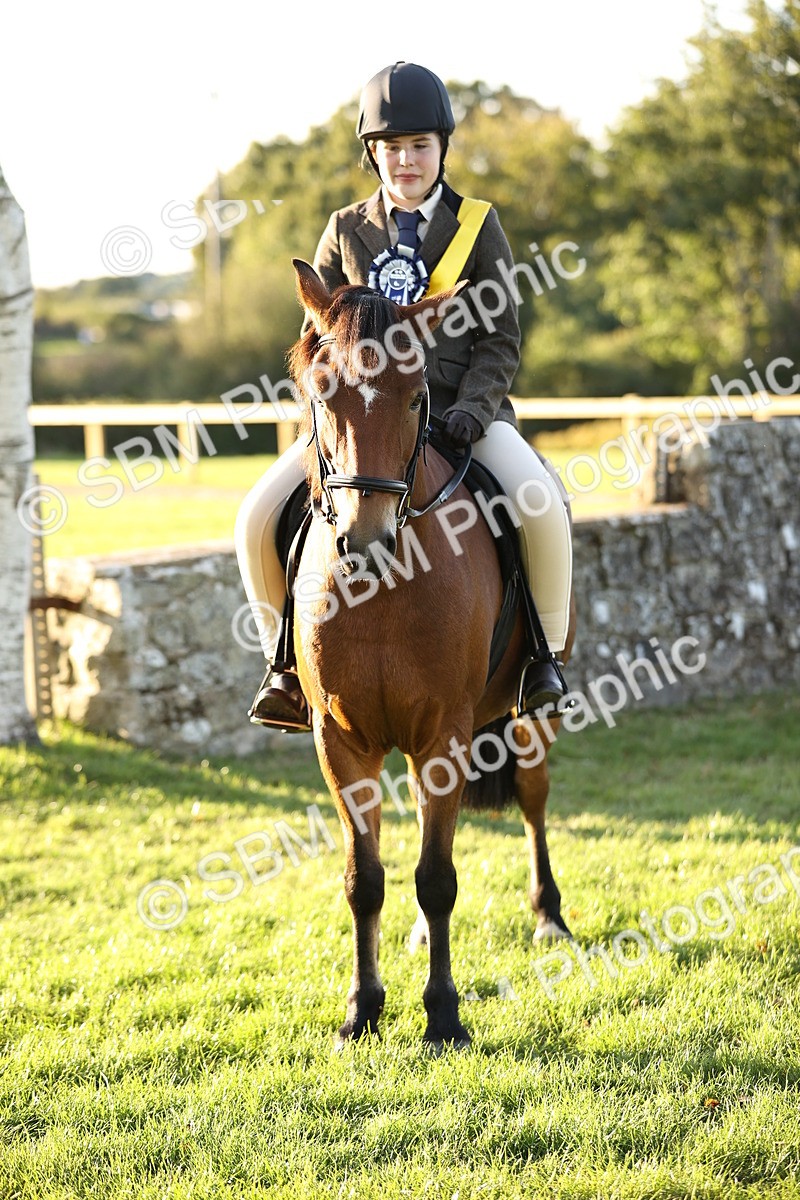 SBM_30150 - Novice & Newcomers Supreme Championship