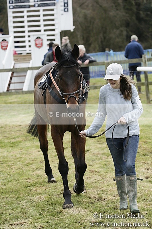 PtP 110318 100 - Hampshire Hunt Point-to-Point Hackwood Park 11/03/18