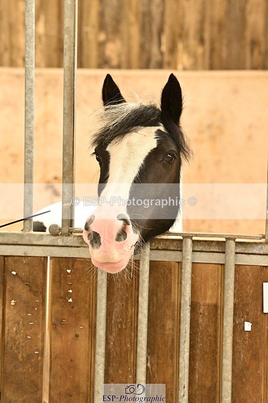 250821B-130008-00467 - Stable Shots and Group Photo