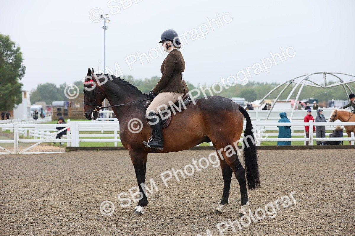 SBM_20048 - Class 802 - Ridden Groom - Helpers class