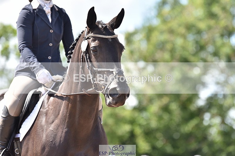 240706A-151104-03460 - Cls 4C Snr Novice 23