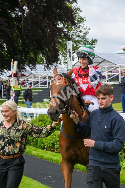 140624-Race 4-Havana Gila-4583 - Race 4 3.35pm Seat Unique Ganton Stakes