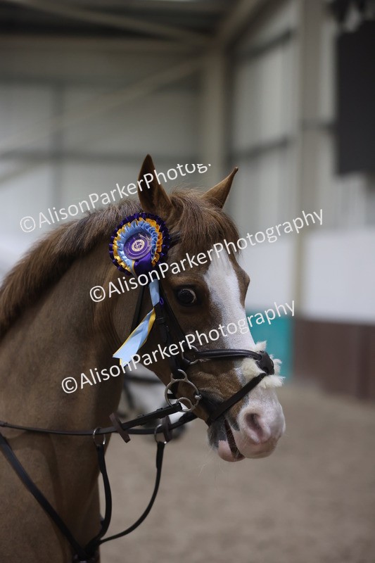 20260125-1748 - Class 2 - 50cm