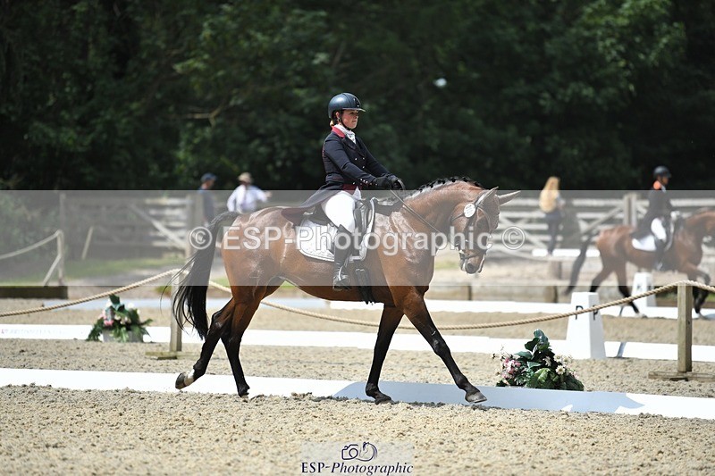 230525-113332-01852 - 101-INTERFIELDS_ABOUDDI-Saffron_Cresswell-WEDTrotUp+DR