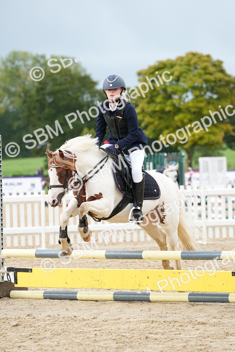 SBM_32447 - J5 - Junior Pony 50cm Championship