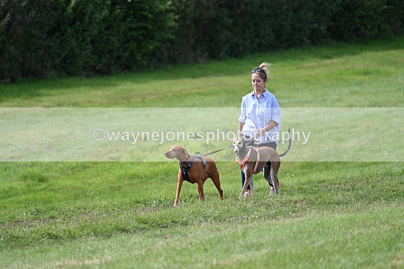 WJ7_7257 - Time 13:13 to 13:20