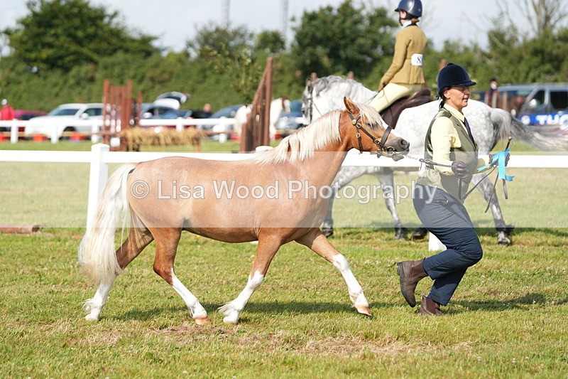 DSC05148 - Class 48: NPS M&M 2/3 year olds