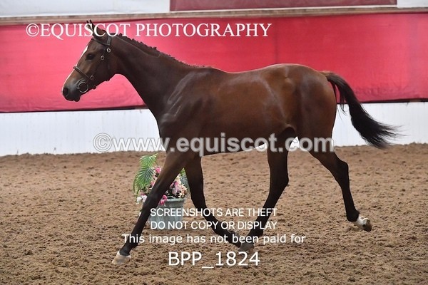 BPP_1824 - MORNING 9AM - 12PM