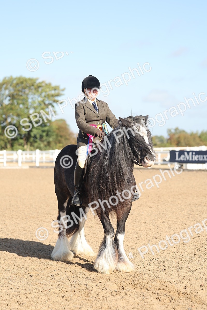 SBM_22248 - Class 802 - Ridden Groom Helpers Class