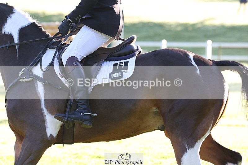 231022-093312-23956 - 640-UP.TO.MISCHIEF-Will.van.Ufford-TrotUp+SJ