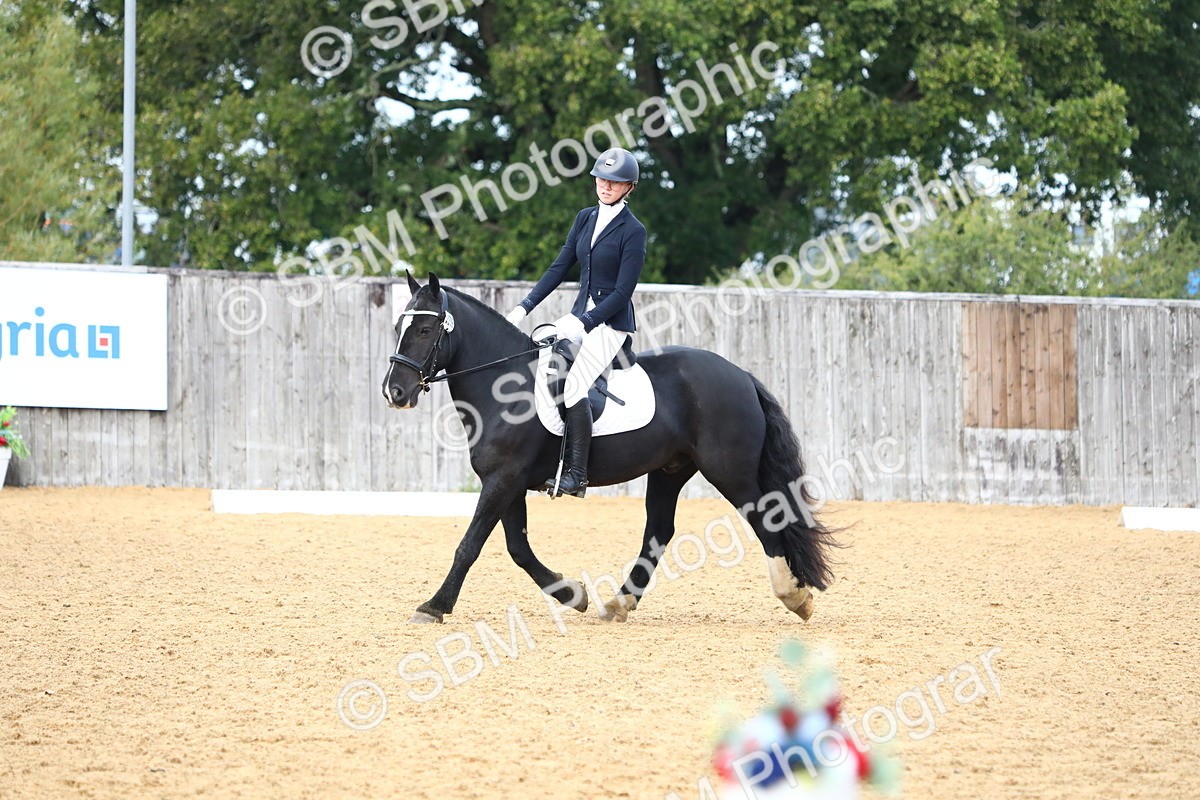 SBM_42704 - D21 - Junior Championship Intro 1