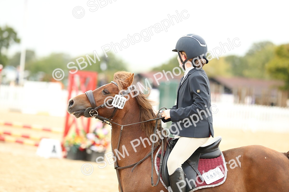 SBM_34223 - J60 Clear Round 50cm