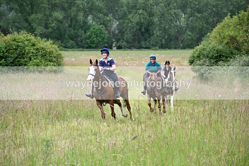 WJ6_8180 - Camera 1 Gallops