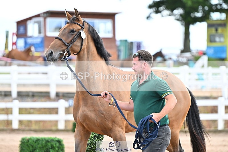 240718A-105325-01989 - Trot Up 2pm to 3pm - This folder is not in time order
