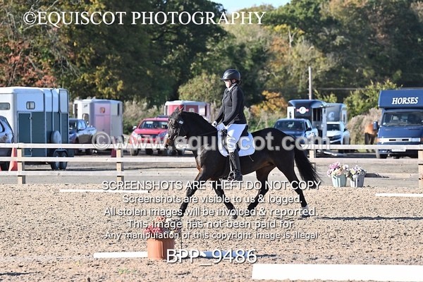 BPP_9486 - SHORT ARENA PRELIM 3