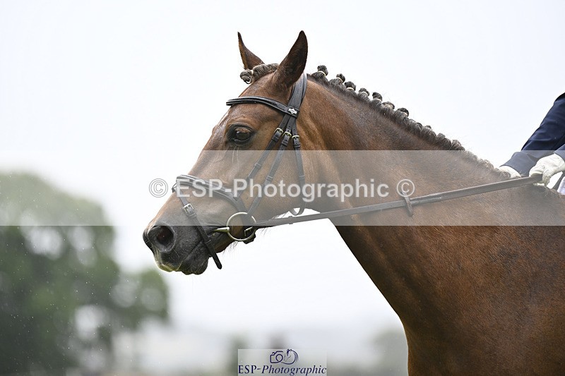 240824X-101252-21563 - D70 Section A and B 9.30 to 10.40