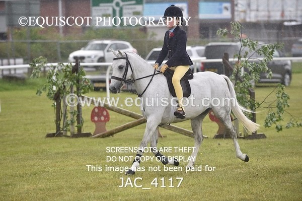 JAC_4117 - 40CM WORKING HUNTER