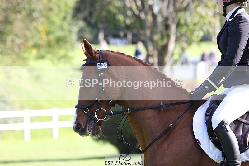 231022-113150-25222 - 686-MOORLAND.MAGIC-Charlotte.Chard-TrotUp+SJ
