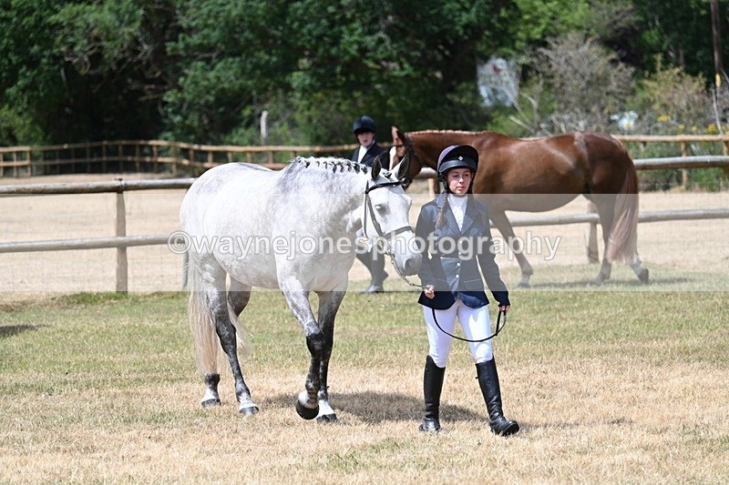 WJ7_1783 - Class 4a Prettiest Mare 14.2hh and over hand