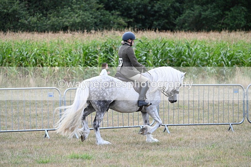WJ7_4816 - Class 12 Ridden Cob