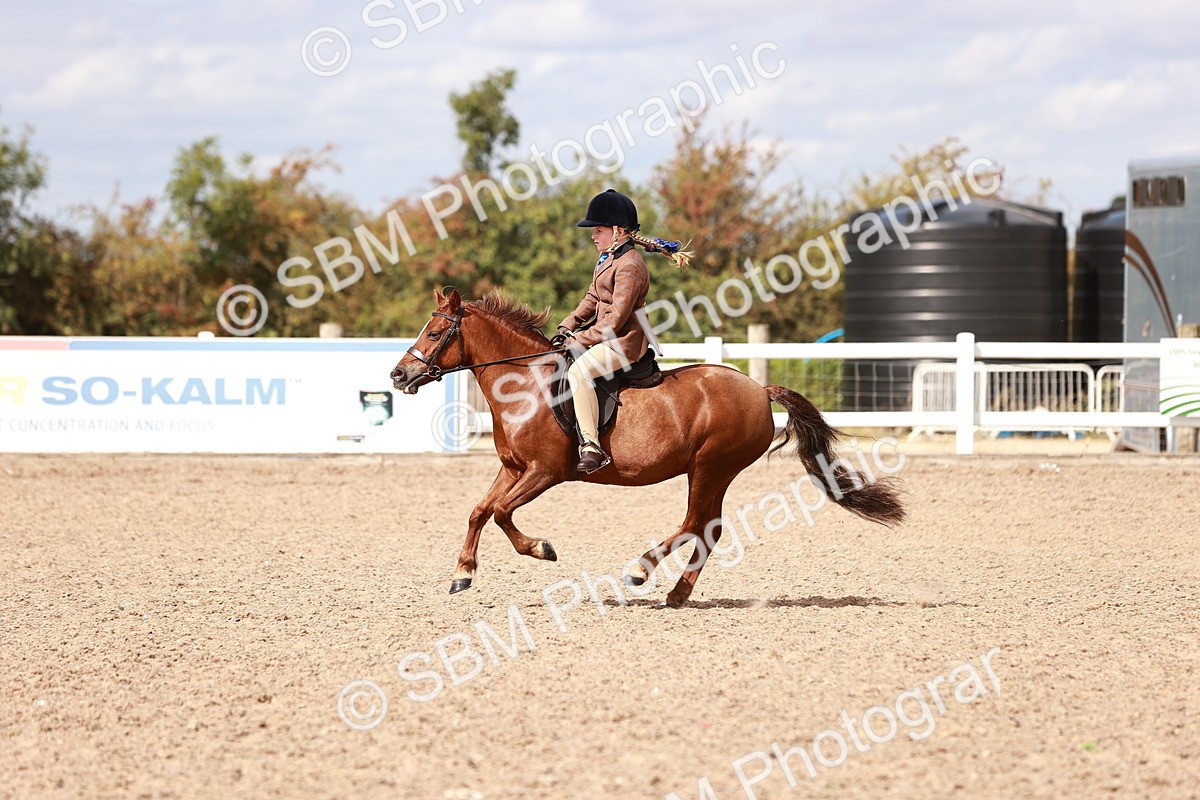 SBM_14386 - Class 409 - Grassroots Ridden - Pony