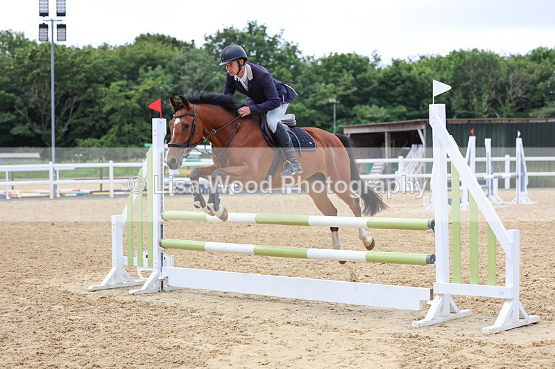 3E7A3196 - Class 4: Senior British Novice/90cm open