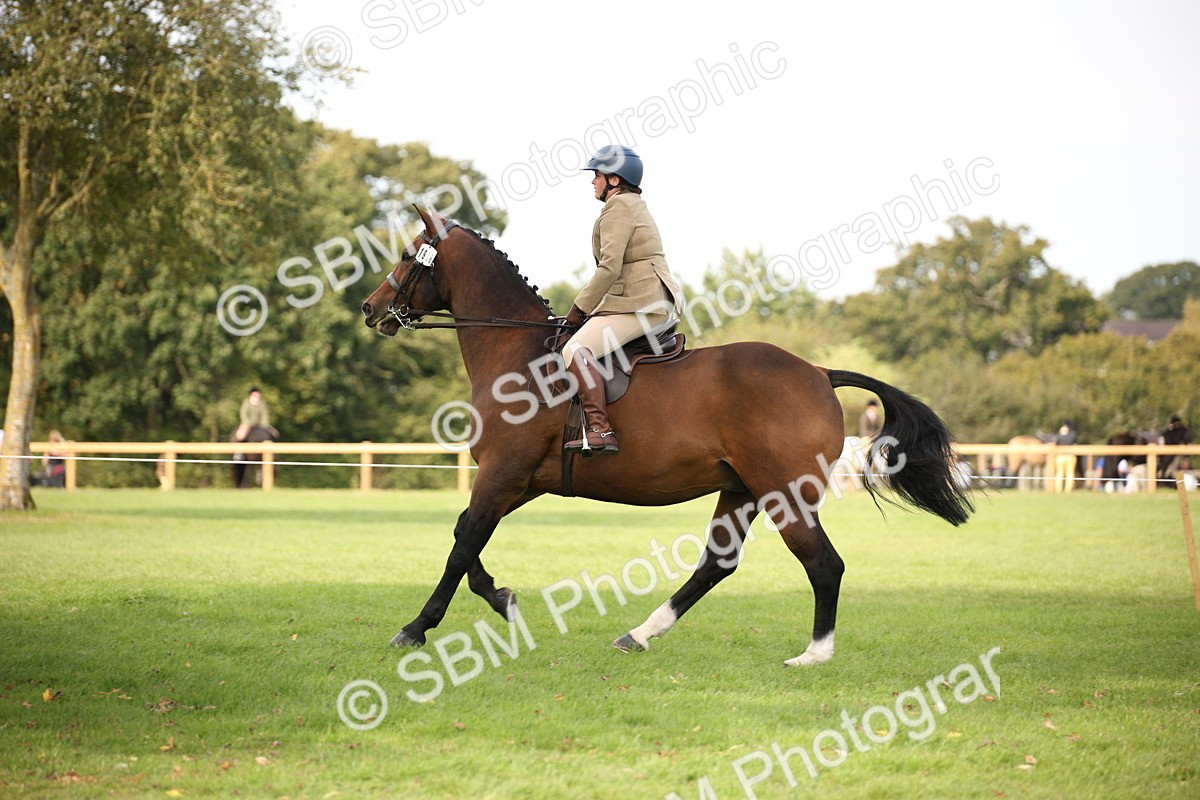 SBM_70397 - S66 - Hunter Ridden
