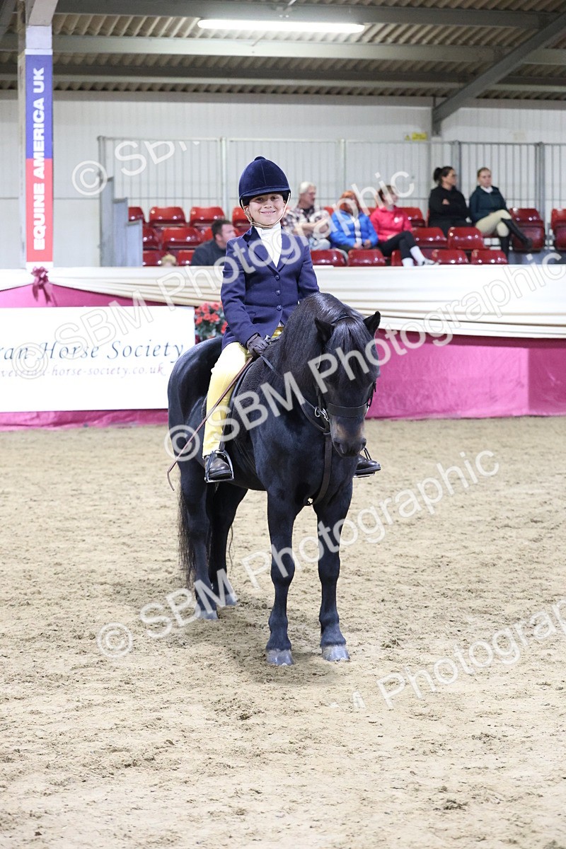 SBM_21401 - Class T - Working Veteran Champs