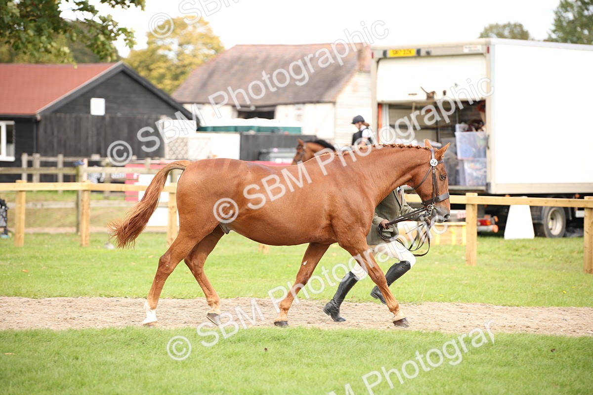 SBM_46332 - S25 - Mature Veteran In Hand