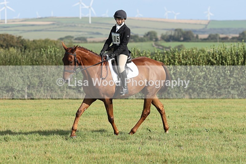 JPP_8028 - Class 2A: Trekenning Open: Dressage