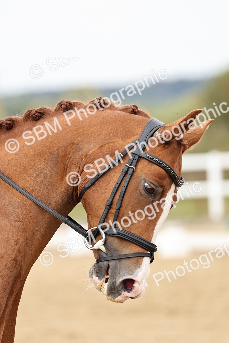 SBM_013113 - Class 3 - Novice 4 - 11.43-12.25