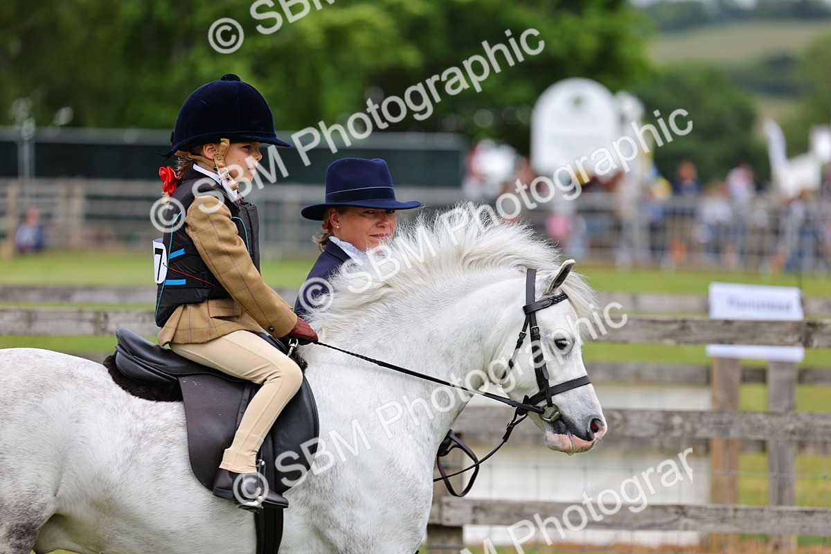 SBM_08061 - Class 42-43 - LIHS BSPS Heritage Working Sports Pony