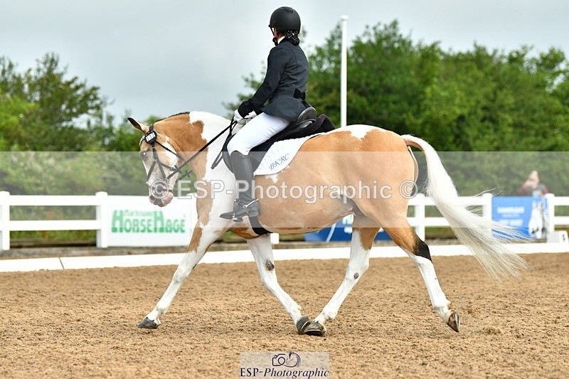 230708A-093603-02156 - Prelim 13