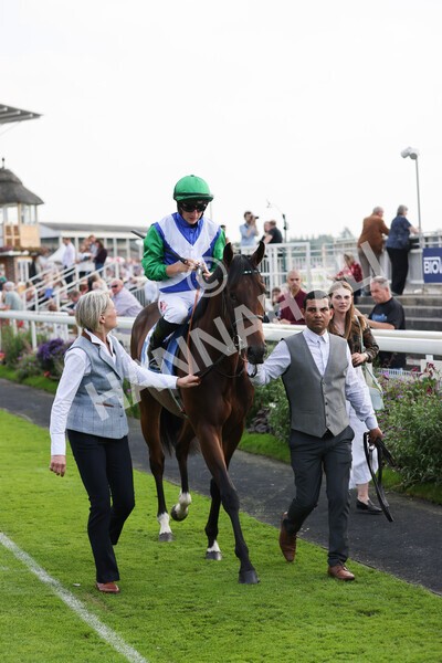 yr05092021r4-15 - Race 4 3.45pm Coopers Marquees British EBF Future Stayers' Novice Stakes