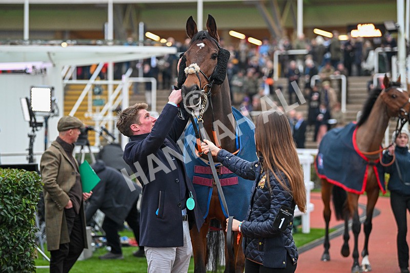 151124-Race 6-Paddock-Bright Legend-8615 - Race 6
