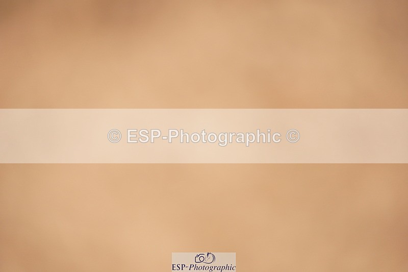 240524A-120822-03388 - Cls 15 Foxhunter