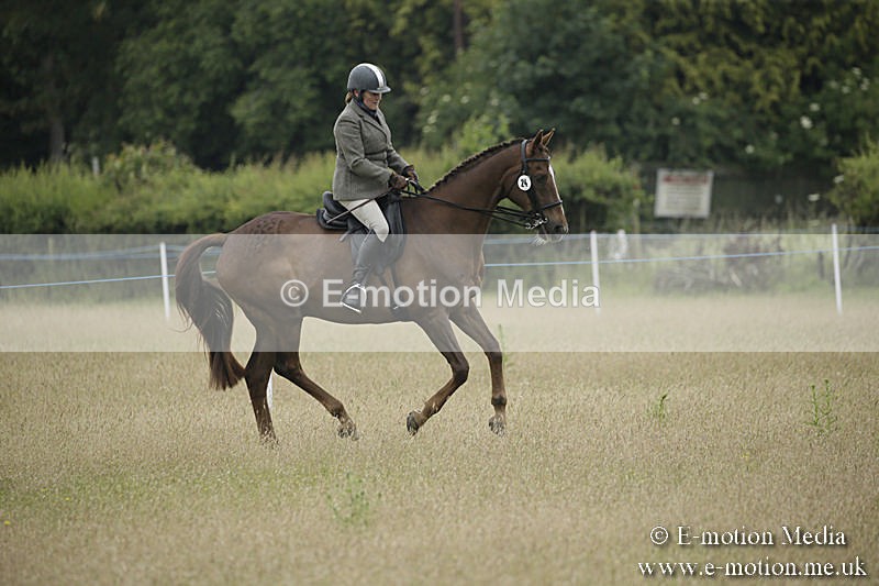 B230619-0341 - Bourne Valley Riding Club Summer Show 23/06/19