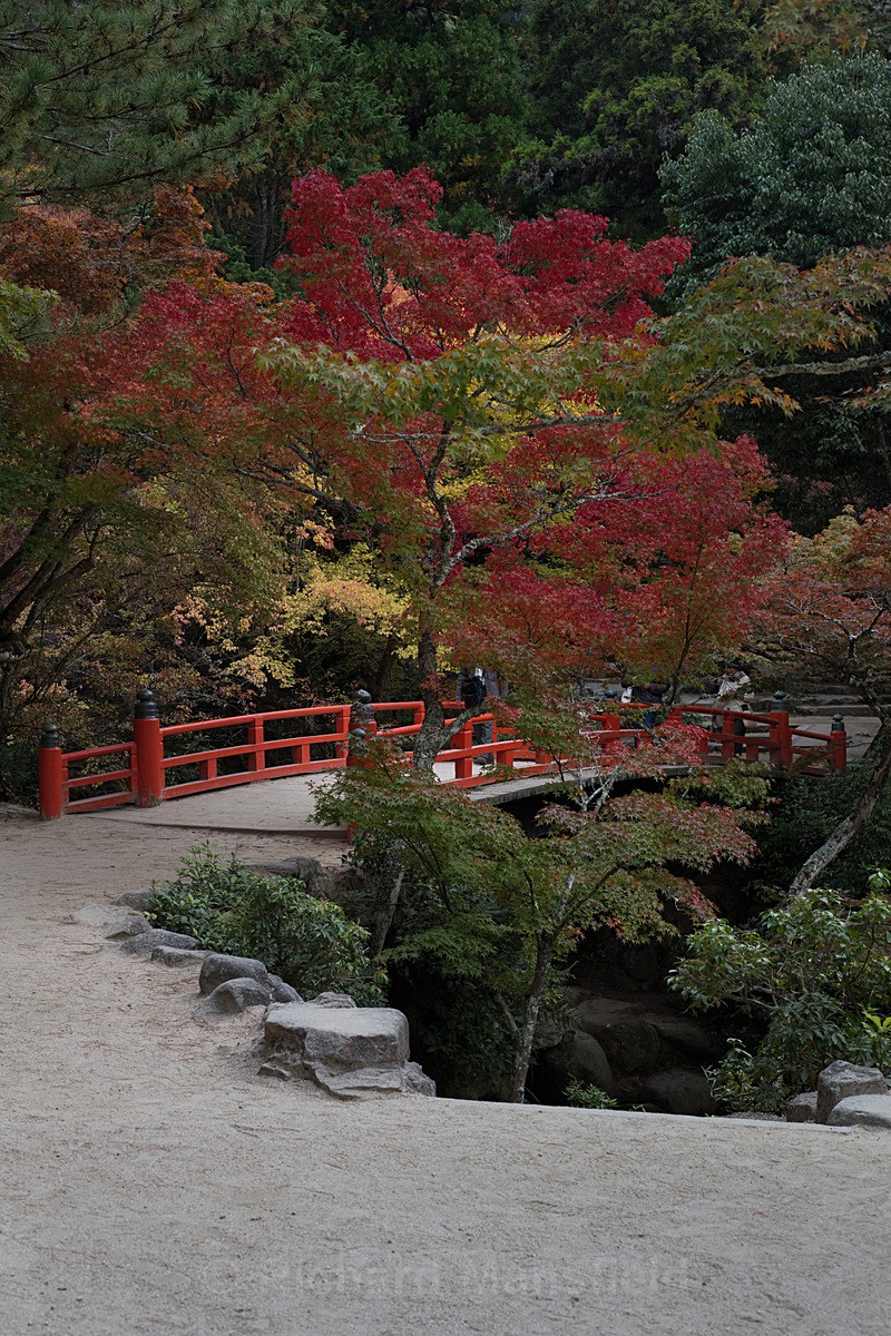  - Japan