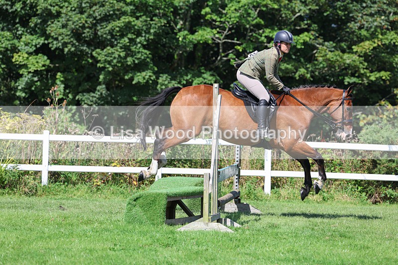 3E7A8548 - Class 5: Working Show Horse