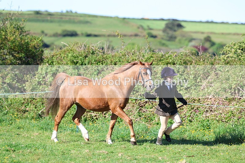 3E7A8344 - Class 12: M & M Small Breeds