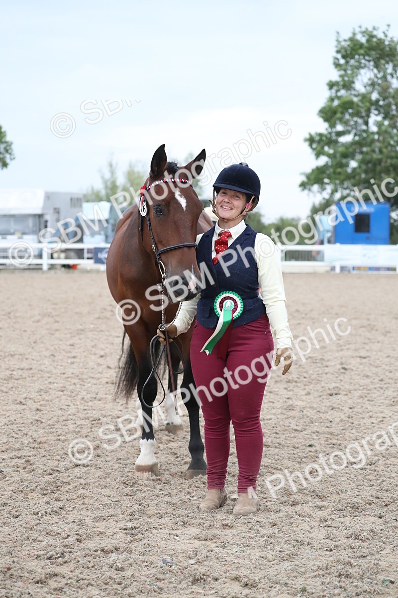 SBM_18418 - Class 318 IH Part bred Horse/Pony