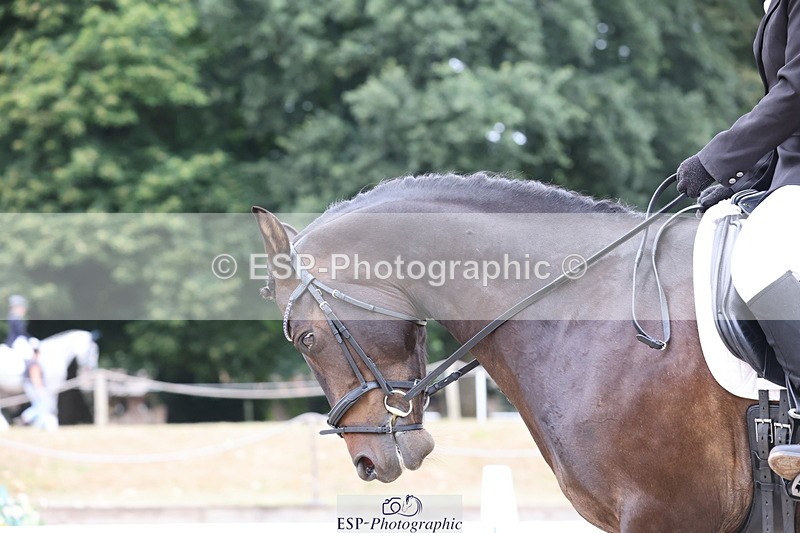 250718A-101322-00484 - 011-Grace.Nicholson-Berch.paradise