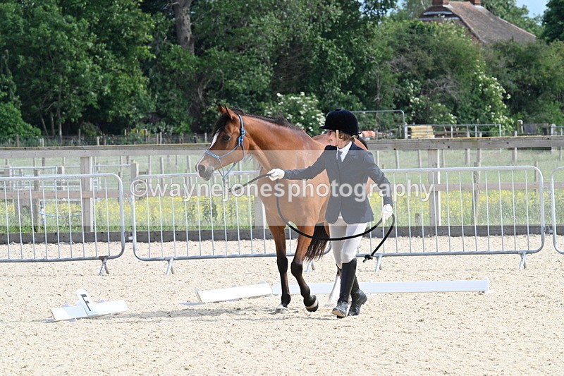 WJ7_8235 - Time 16:10 to 16:25