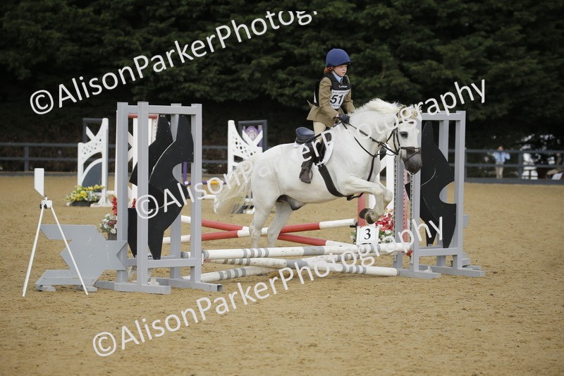 20250622-1258 - 40cm