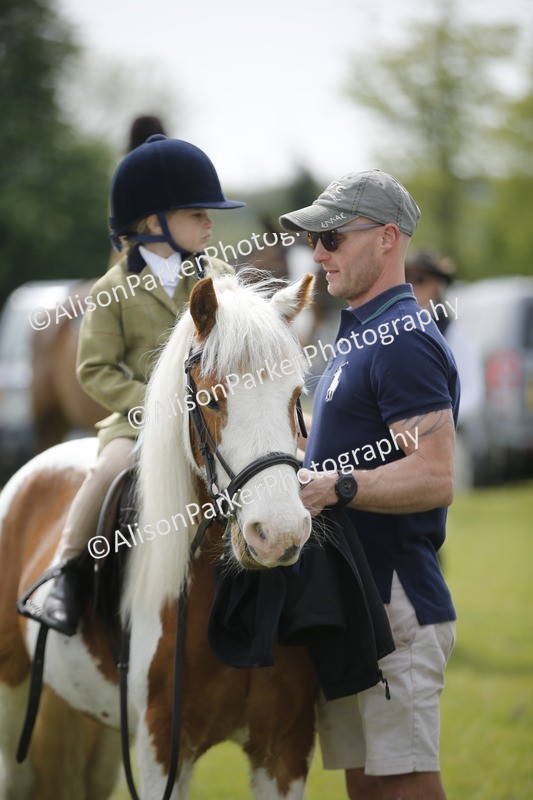 20260426-2173 - Class 9 - Handsomest Gelding