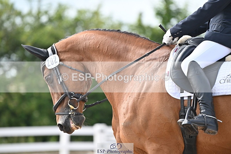 240621A-161647-04927 - Cls 13 BD Adv Medium 91