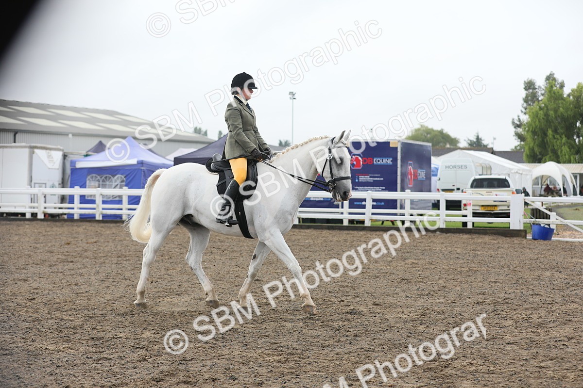 SBM_21287 - Class 805 - Ridden Veteran Horse
